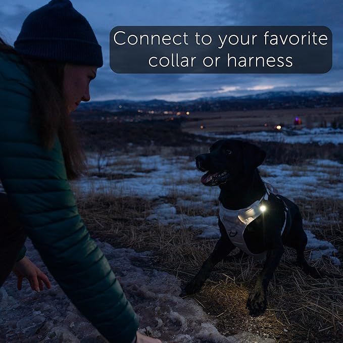 TUG Dog Light - Walking Flashlight Connects to Dog Leashes, Collars, & Harnesses | Rechargeable and Bright LED for Night Walks