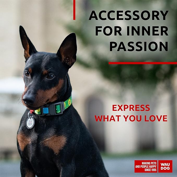 WAUDOG Nylon Dog Collar - Adjustable Dog Collar for Large Dogs, Small & Medium Dogs - Breakaway Puppy Collars for Large Breed Dogs - Boy & Girl Dog Collars with Durable Plastic Buckle and QR Dog Tag