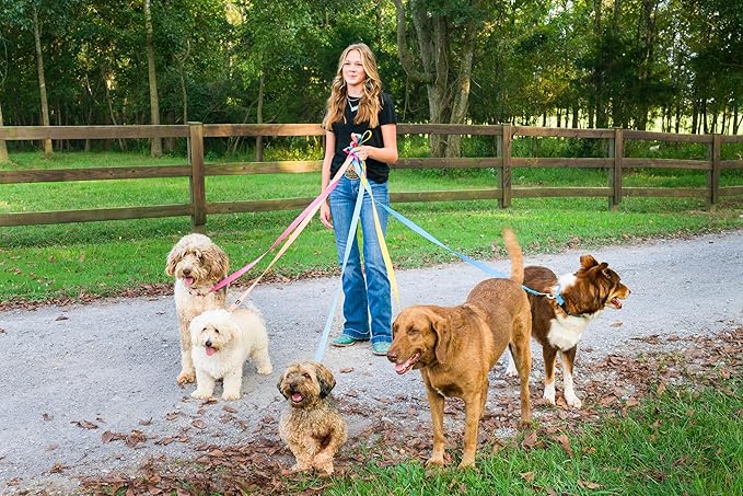 Country Brook Petz - American-Made Dog Collar for Large, Medium, and Small Dogs and Puppies - Deluxe Heavy Duty Nylon in 33 Dazzling Colors (Extra Small, 3/8 Inch Wide, Gold)