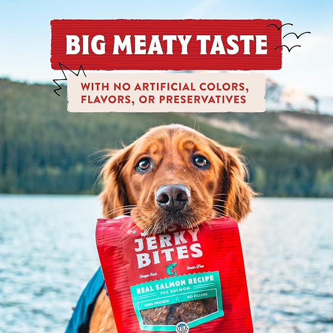 Stella & Chewy's Premium Salmon Jerky Dog Treats - 95% Real Fish Bites for Sensitive Stomachs - Natural Limited Ingredient Treats for Small and Large Dogs - No Grain, Wheat or Soy - 6 oz Bag