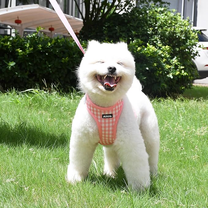 AIITLE No-Pull Pet Harness with a Leash, Plaid Comfort Padded Vest, Step in Dog Harness, Reflective Bands, Soft Breathable Pet Supplies, for Small and Medium Dogs and Cats Watermelon S