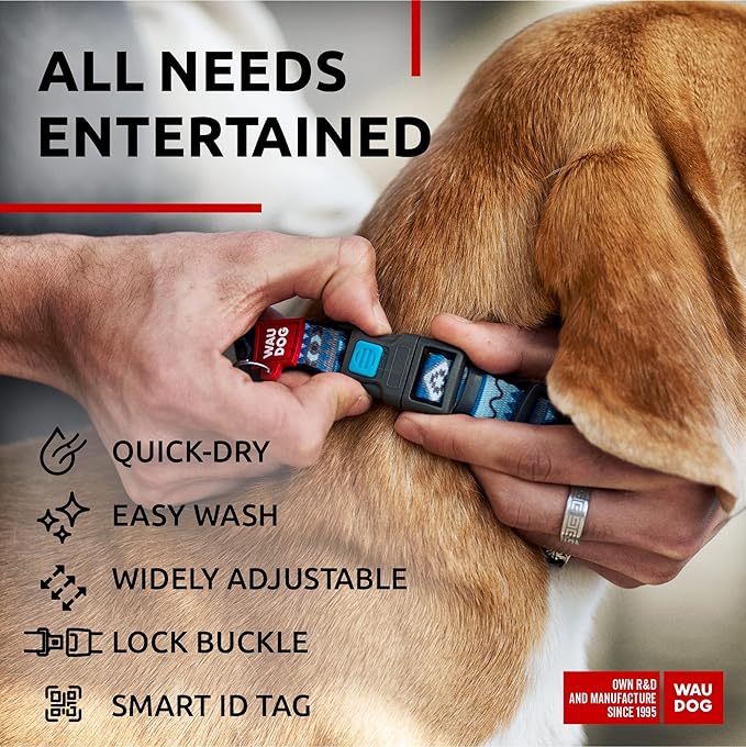 WAUDOG Nylon Dog Collar - Adjustable Dog Collar for Large Dogs, Small & Medium Dogs - Breakaway Puppy Collars for Large Breed Dogs - Boy & Girl Dog Collars with Durable Plastic Buckle and QR Dog Tag