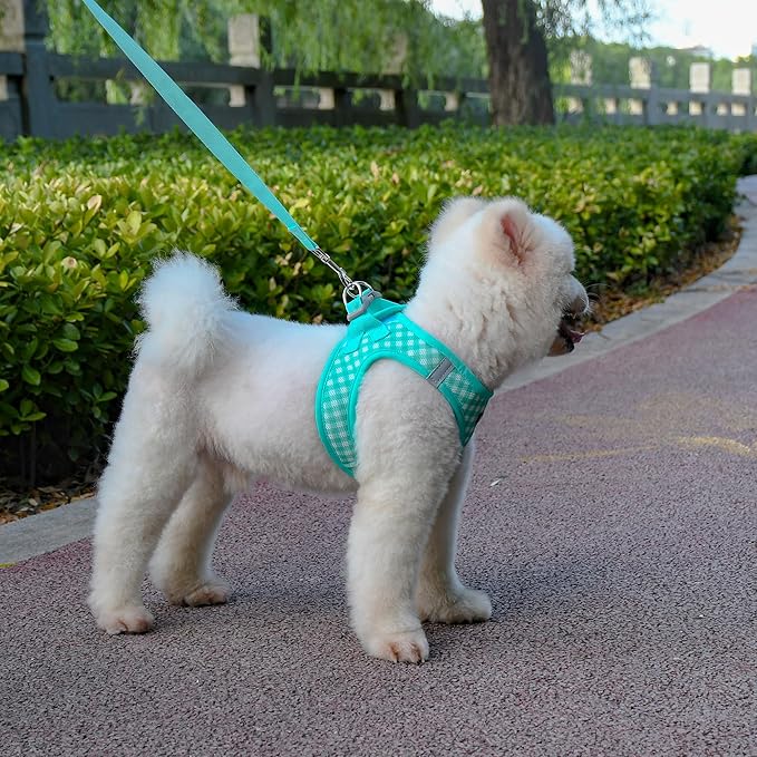 AIITLE No Pull Dog Harness and Leash Set, Step in No Chock Soft Mesh Dog Harnesses Reflective for Extra-Small Puppy Dogs and Cats, Plaid Dog Vest Harness for Pets Turquoise XXS