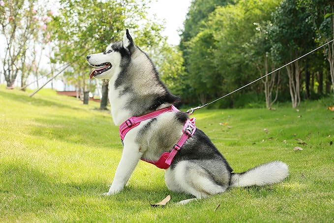 No Pull Dog Harness for Large Dogs, Dual Leash Attachments, Adjustable Soft but Strong Pet Harness with 3M Reflective Technology, Fuchsia Nylon, XS (Chest: 13-16")