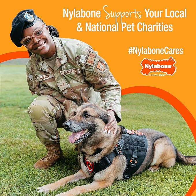 Nylabone Nubz Natural Edible Dog Chew Treats for Small Dogs, Long Lasting Dog Bones Made in USA, Chicken Flavor Dental Chews, For Dogs Up to 25 lbs. (32 Count)
