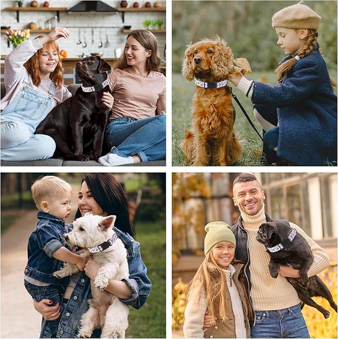 Dog Collar, Cute Floral Puppy Collar for Boys Girls Small Medium Large Dogs, Adjustable Soft Pet Collar Fancy Floral with Quick Release Buckle for Males Females, Blue Rose,M