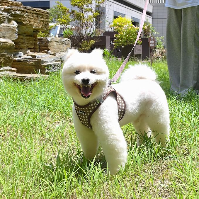 AIITLE Adjustable Dog Harness and Leash Set, Step in No Pull Pet Harness, Soft Mesh Reflective Plaid Vest Harnesses for Small Dogs Puppy and House Cats Outdoor Walking Running Chocolate XS