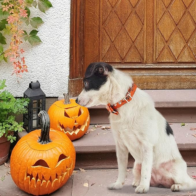 Adjustable Bow Tie Dog Collar Printed Cute Patterns Spring Summer Soft Pet Collars for Small Medium Large Dogs