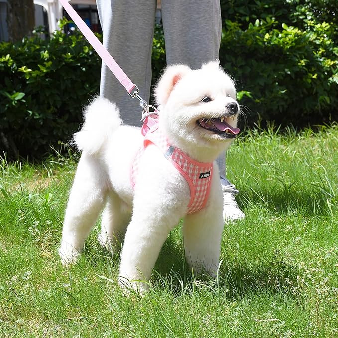 AIITLE Small Dog Harness and Leash Set, Step in No Pull Pet Harness, Soft Mesh Reflective Plaid Vest Harnesses for Small Dogs Puppy and House Cats Outdoor Walking Running Watermelon XS