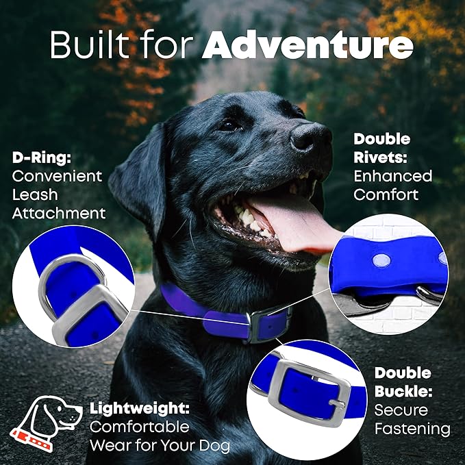 Regal Dog Products Small Blue Dog Collar with Heavy Duty Double Buckle & D Ring | Vinyl Coated, Custom Fit, Adjustable Biothane Dog Collar | Chew Resistant Waterproof Collar for Dogs