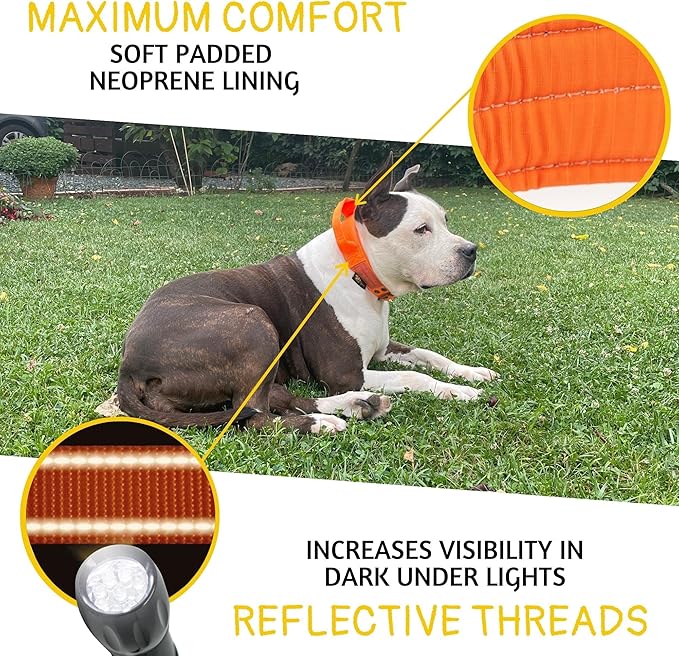ADITYNA Heavy Duty Dog Collar for Large Dogs - Reflective Orange Collar with Handle for Training, and Walking - Wide, Thick, Tactical, Soft Neoprene Padded