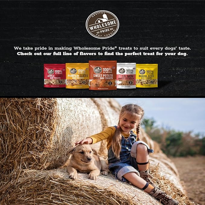 Wholesome Pride Banana Bites 100% All-Natural Limited Ingredient Dog Treats, 16 oz