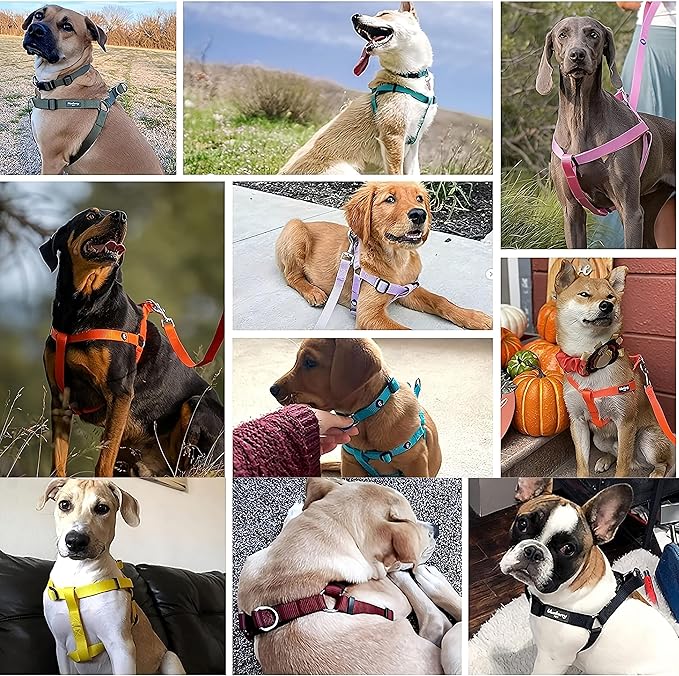 Step in No Pull Dog Harness, Free Upgrade Ultra Durable Dog Rope Leash Harness Nylon (2-in-1) Non-Slip Adjustable, Easy Control Handle, Strong Metal, Vest Harness for Large Dog - Red L