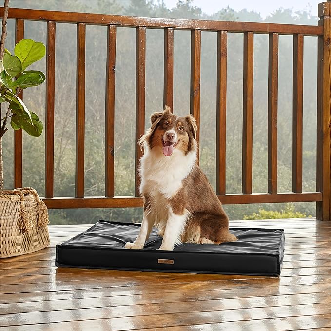 Lesure Outdoor Waterproof Dog Bed for Medium Sized Dogs, Orthopedic Egg Crate Foam Pet Bed with Oxford Fabric Surface and Removable and Durable Cover, Machine Washable, 30''x20'', Black