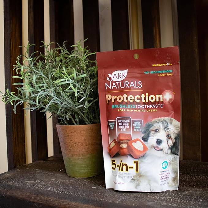 ARK NATURALS Protection+ Brushless Toothpaste, Dog Dental Chews for Mini Breeds, Prevents Plaque & Tartar, Freshens Breath, 4oz, 2 Pack
