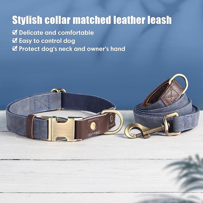Didog Soft Padded Leather Dog Collars for Medium Dogs, Classic Heavy Duty Dog Collars Adjustable with Quick Release Metal Buckle,Blue,M Neck 13-19"