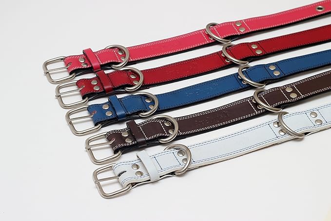 Premium Leather Collars with Stainless Steel Buckles (18"-21", Pink)