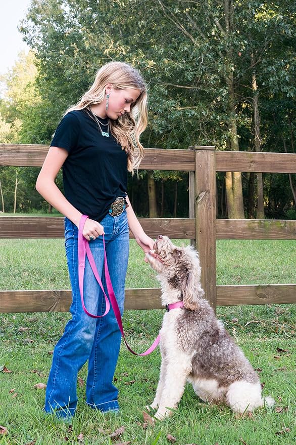 Country Brook Petz - American-Made Dog Collar for Large, Medium, and Small Dogs and Puppies - Deluxe Heavy Duty Nylon in 33 Dazzling Colors (Extra Small, 3/8 Inch Wide, Rose)