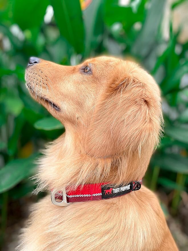 Tuff Pupper Heavy Duty Dog Collar | Tough Dog Collar | Reflective Dog Collar with Aluminum D-Ring Leash Clip | Separate Dog ID Tag Attachment Keeps Engraved Dog Tags Quiet | Easy Sizing for All Breeds