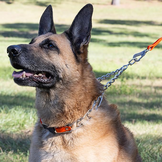 Herm Sprenger Chrome Plated Steel Dog Collar with Quick Release ClicLock Buckle and Biothane Insert Training Collar for Dogs Made in Germany (Hunter Orange, 25in x 4.0mm(Neck Size up to21-22in))