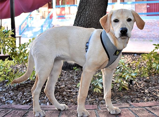 Classic Dog Harness Over The Head No Pull No Choke Design Soft Double Padded Breathable Vest for Eco-Friendly Easy Control Walking Quick Release for Medium Sized Dogs (Large, Gray)