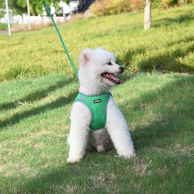 AIITLE Dog Harness for Medium Sized Dog, No-Pull Dog Vest with a Leash, Breathable Mesh, Reflective Stripes, Escape Proof Pet Outdoor Harnesses Puppy Essentials for Medium Dogs Green M