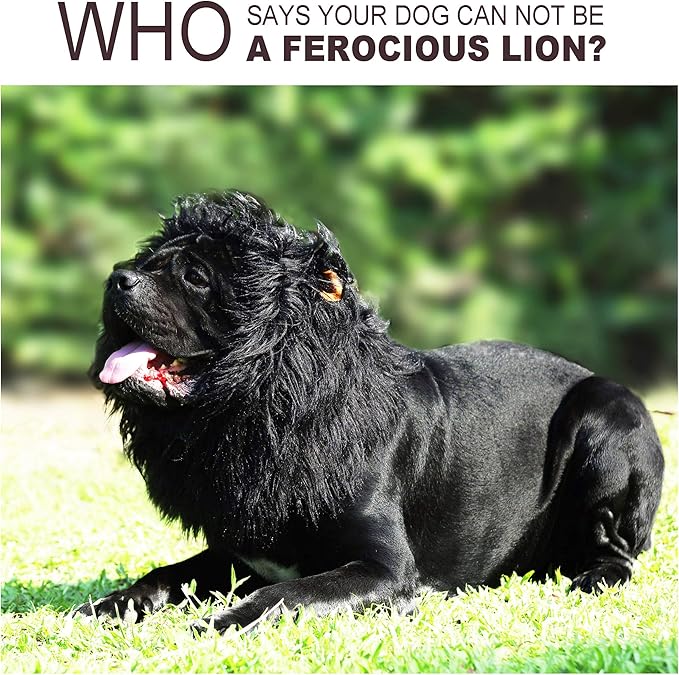 Onmygogo Lion Mane Wig for Dogs with Ears, Funny Pet Costumes for Halloween Christmas (Size L, Black)