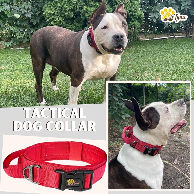 ADITYNA Heavy-Duty Tactical Dog Collar with Handle - Perfect Red Dog Collar for Training, Walking, or Hunting (Large: Fit 18.5-22" Neck, Red)