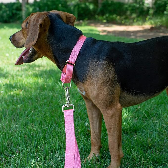 Country Brook Petz Martingale Dog Collar - Heavy-Duty Training Collar with No Buckle - Service Dog Collar for All Pups - Vibrant, Colorful Collection (Pink, 5/8 Inch, Extra Small)