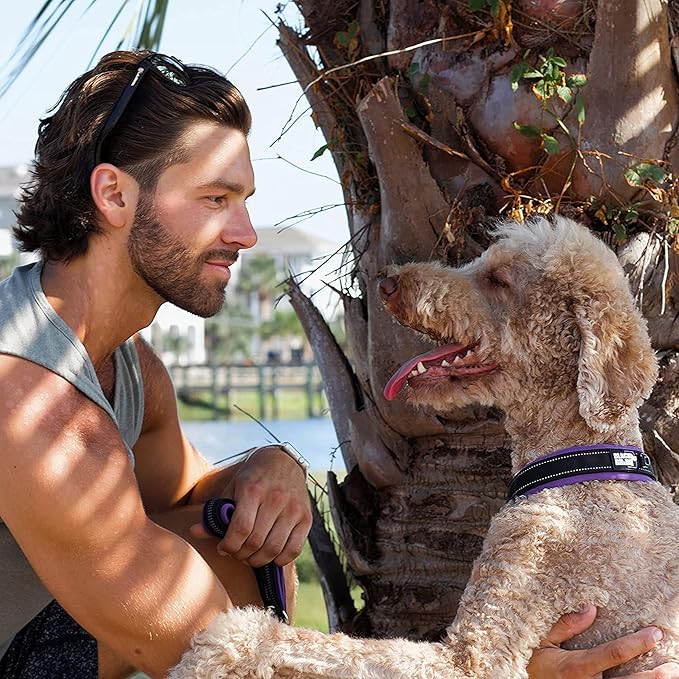 Black Rhino - The Comfort Collar Ultra Soft Neoprene Padded Dog Collar for All Breeds, Dog Collars for Large Dogs - Heavy Duty Adjustable Reflective Weatherproof (Small, Purple/Bl)