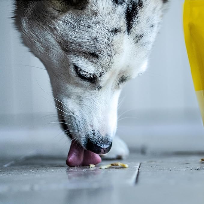 Wholesome Pride Banana Bites 100% All-Natural Limited Ingredient Dog Treats, 16 oz