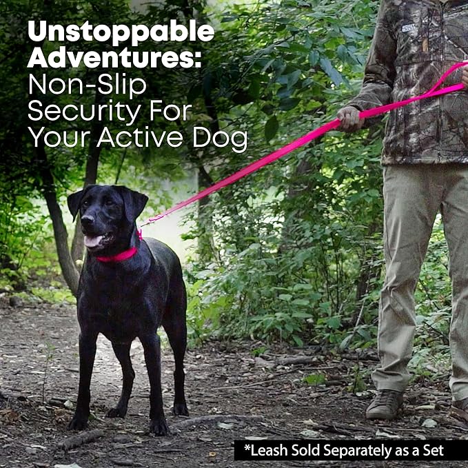 Regal Dog Products Small Pink Waterproof Dog Collar and Leash Set | Heavy Duty Double Buckle & D Ring - 5'ft Leash | Adjustable Biothane Dog Collar | Chew Resistant Waterproof Collar for Dogs