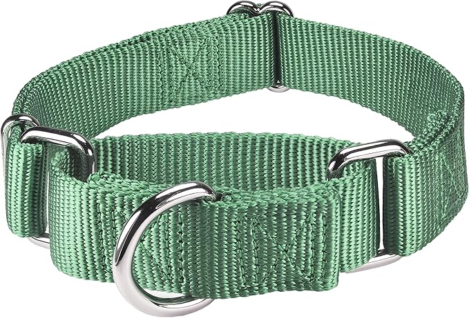Mikivery Martingale Dog Collar Nylon Adjustable and Safety Training Metal Buckle Dogs Collars for Small Medium and Large Breed(Emerald,M)