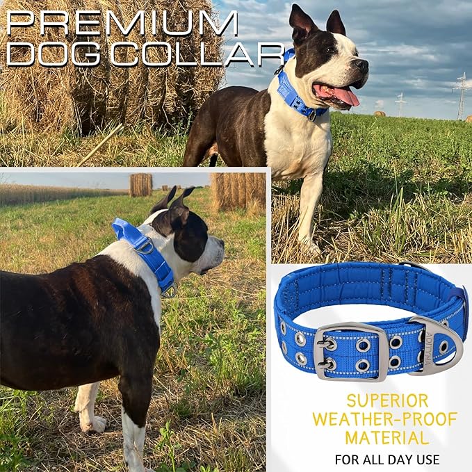 ADITYNA Heavy Duty Dog Collar for Large Dogs - Reflective Royal Blue Collar with Handle for Training, and Walking - Wide, Durable, Comfortable