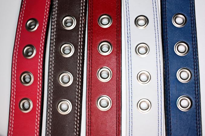 Premium Leather Collars with Stainless Steel Buckles (18"-21", White)