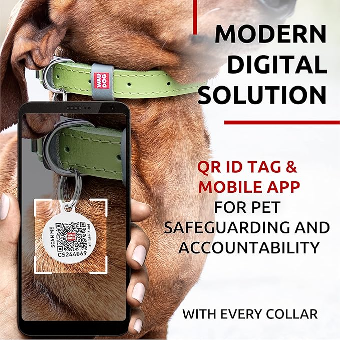 WAUDOG Long Lasting Leather Dog Collar for Large Dogs, Medium & Small Dogs - Adjustable Classic Puppy Collars for Large Breed Dogs - Boy & Girl Dog Collars with Durable Buckle, D-Ring & QR Dog Tag