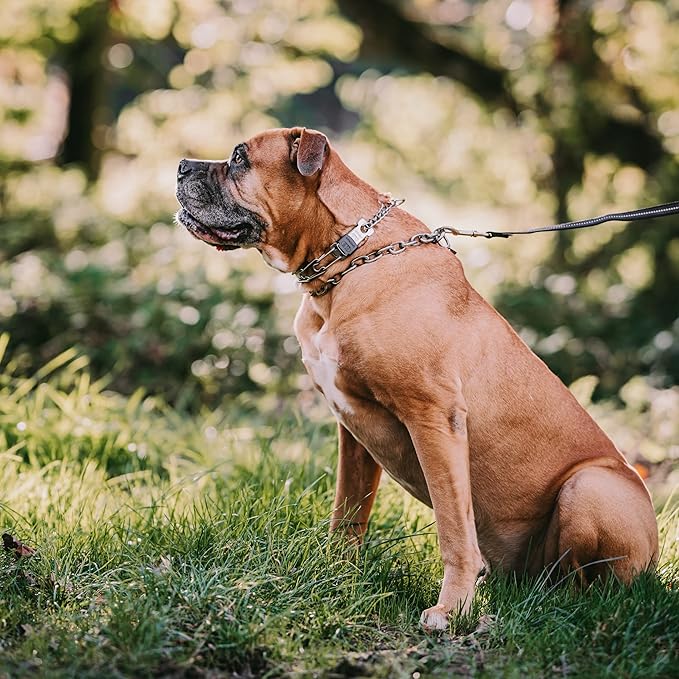 Herm Sprenger Stainless Steel Dog Collar with Quick Release ClicLock Buckle for Small Medium Large Dogs Training Collar for Dogs Made in Germany (23in x 3.2mm)