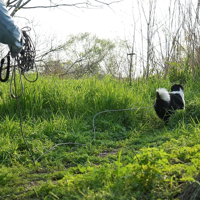 NTR Heavy Duty Dog Leash, Black 30FT Reflective Dog Leashes with Swivel Lockable Hook and Comfortable Padded Handle, Puppy Leash for Walking, Hunting, Camping, Backyard for Small Medium and Large Dogs