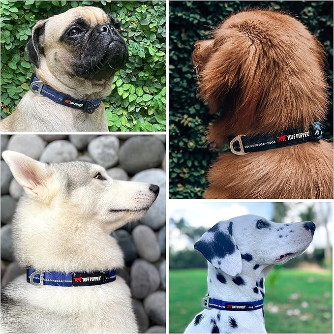 Tuff Pupper Heavy Duty Dog Collar | Reflective with Aluminum D-Ring Leash Clip | Separate Dog ID Tag Attachment | Easy Sizing for All Breeds
