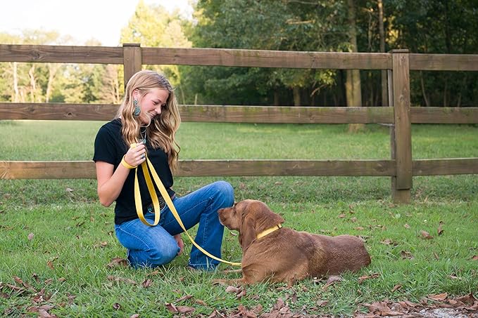 Country Brook Petz - American-Made Dog Collar for Large, Medium, and Small Dogs and Puppies - Deluxe Heavy Duty Nylon in 33 Dazzling Colors (Extra Large, 1 Inch Wide, Gold)