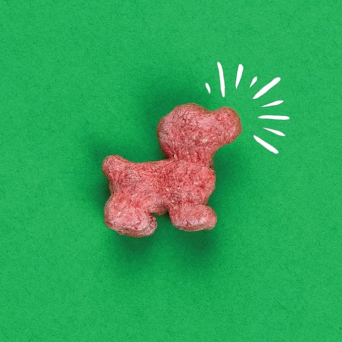 Pup Corn Plus - Puffed Dog Treats with Prebiotics and Probiotics - Salmon & Sweet Potato (24oz) - Made in USA (Pack of 2)