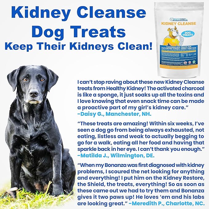 Kidney Cleanse Beef Dog Treats Supports Normal Kidney Toxin Elimination: 20 Oz. Low Protein Beef Dog Treats for Kidney Support. Kidney-Friendly Dog Food Diet Treat.