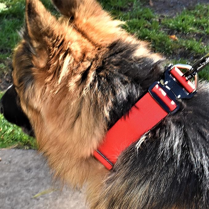 Tactical Dog Collar 2 Inch Wide Thick Heavy Duty Military Style with Metal Buckle, Adjustable for Medium - Large Breeds, Durable K9 Training Gear with Patch Area, USA Flag Patch, Strong and Secure Fit