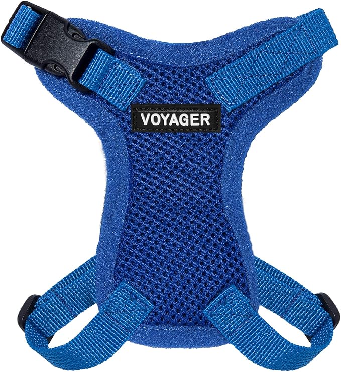 Voyager Step-in Lock Adjustable Cat Harness w. Cat Leash Combo Set with Neoprene Handle 5ft - Supports Small, Medium and Large Breed Cats by Best Pet Supplies - Royal Blue, XXXS