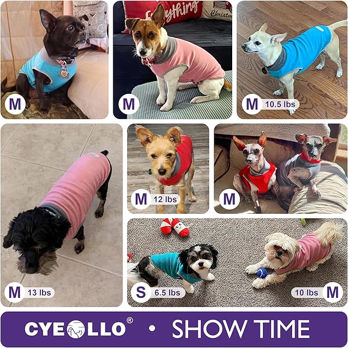 Cyeollo 2 Pack Dog Sweater - Fleece Vest & Sweatshirt in Reflective Lightweight Fabric - Perfect for Small Dogs, Boy or Girl - Grass Green, Grey, M