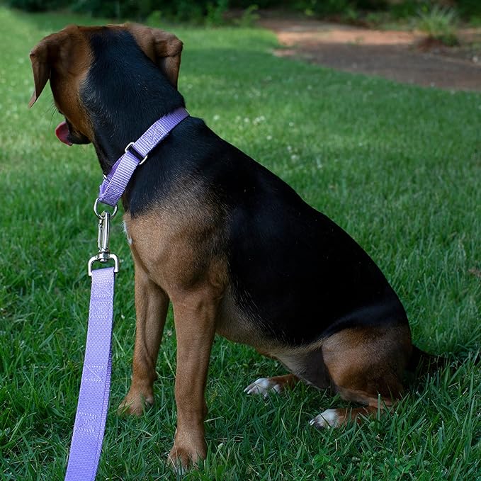 Country Brook Petz Martingale Dog Collar - Heavy-Duty Training Collar with No Buckle - Service Dog Collar for All Pups - Vibrant, Colorful Collection (Lavender, 1 Inch, Medium)