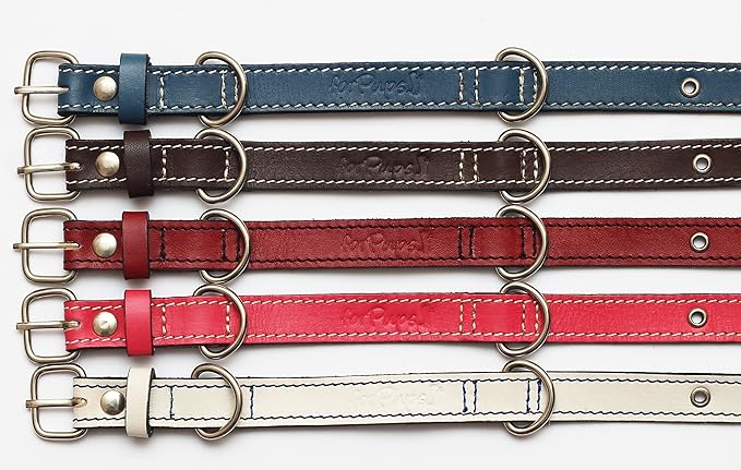 Premium Leather Collars with Stainless Steel Buckles (9"-12", Red)