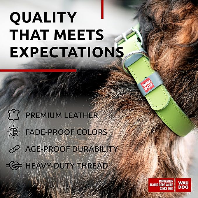 WAUDOG Long Lasting Leather Dog Collar for Large Dogs, Medium & Small Dogs - Adjustable Classic Puppy Collars for Large Breed Dogs - Boy & Girl Dog Collars with Durable Buckle, D-Ring & QR Dog Tag