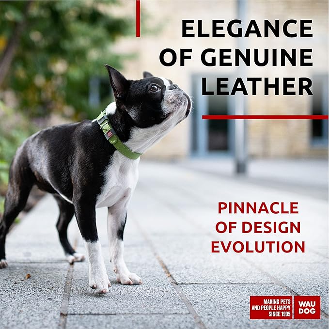 WAUDOG Long Lasting Leather Dog Collar for Large Dogs, Medium & Small Dogs - Adjustable Classic Puppy Collars for Large Breed Dogs - Boy & Girl Dog Collars with Durable Buckle, D-Ring & QR Dog Tag