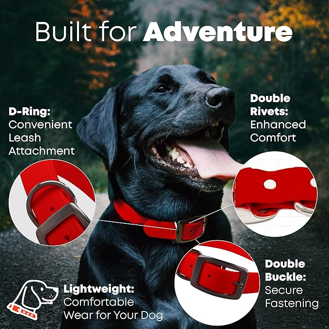 Regal Dog Products Medium Red Waterproof Dog Collar and Leash Set | Heavy Duty Double Buckle & D Ring - 5'ft Leash | Adjustable Biothane Dog Collar | Chew Resistant Waterproof Collar for Dogs